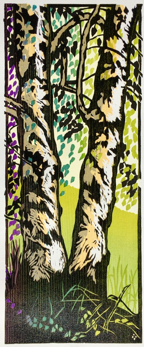 Birches woodcut