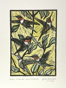 Hummingbirds