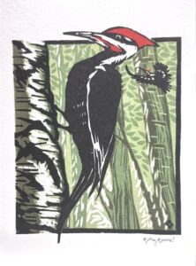 Greeting Card, Pileated Woodpecker