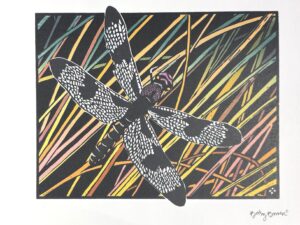 Greeting Card, Dragonfly: Twelve-Spotted Skimmer