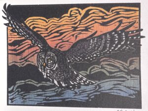 Greeting Card, Great Gray Owl